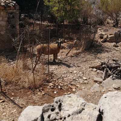Catamaran Holidays Greece