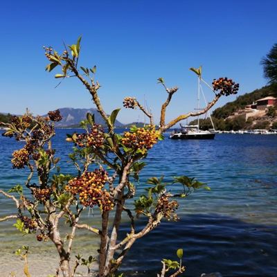 Catamaran Holidays Greece